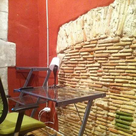 As L'estudi De L'onyar *